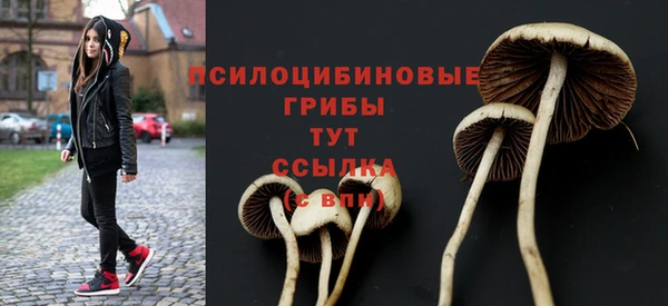 кокаин колумбия Бородино