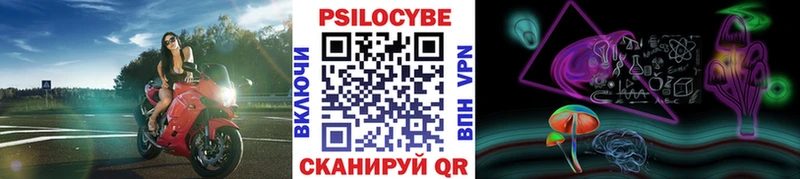 blacksprut как войти  Дедовск  Галлюциногенные грибы Psilocybe 